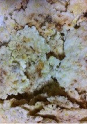 キャベツ入り！おからポテチo(^▽^)o-レシピのメイン写真