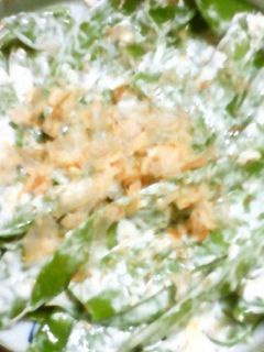 絹さやのからしマヨおかか胡麻和え★-レシピのメイン写真