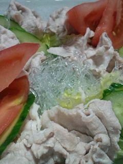 プチプチしゃぶしゃぶサラダ-レシピのメイン写真