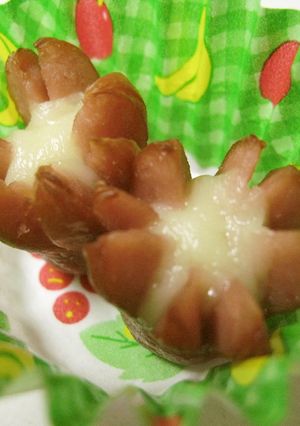 ウインナーとチーズでお花-レシピのメイン写真