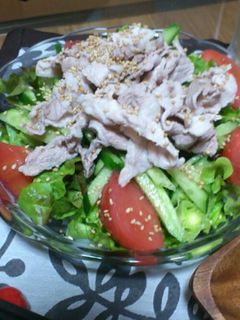 簡単★野菜どっさり冷しゃぶサラダ-レシピのメイン写真