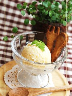 あたしんちの…後味すっきり♪バニラアイス-レシピのメイン写真