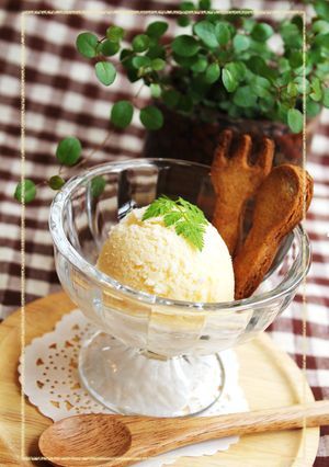 あたしんちの…後味すっきり♪バニラアイス-レシピのメイン写真