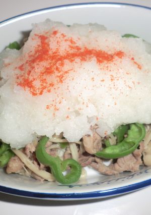 具だくさん☆牛肉のアッサリおろしポンズ-レシピのメイン写真