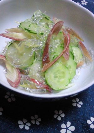プチプチ麺入りキュウリの酢の物-レシピのメイン写真