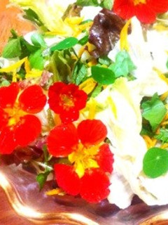 ハーブと金柑のサラダ-レシピのメイン写真