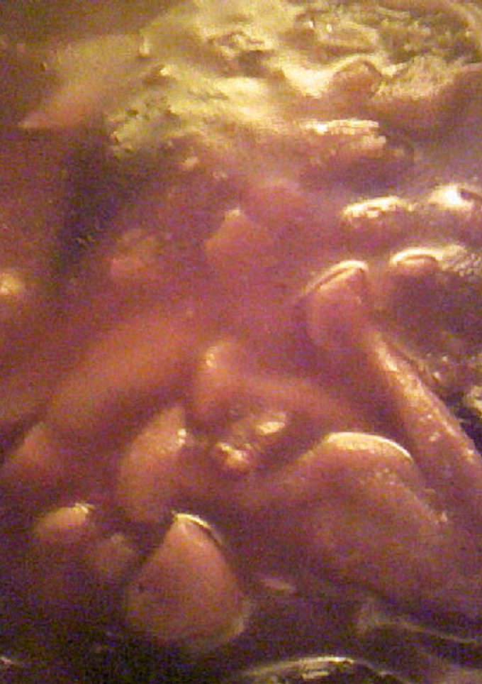 ダイエット：肉無：麻婆茄子風中華風炒め-レシピのメイン写真