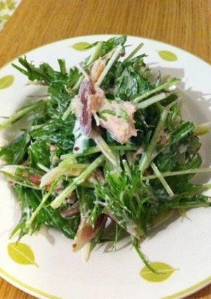 茗荷と水菜のシャキツナサラダ♪-レシピのメイン写真
