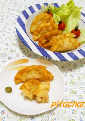 鶏の揚げ餃子☆オレンジ風味-レシピのメイン写真