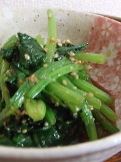 ほうれん草の胡麻和え-レシピのメイン写真