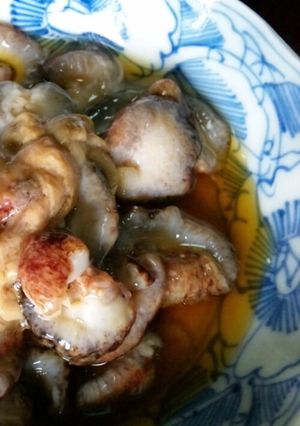 こりこり食感ナマコのレモン酢-レシピのメイン写真