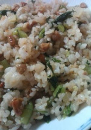 納豆×野沢菜チャーハン-レシピのメイン写真