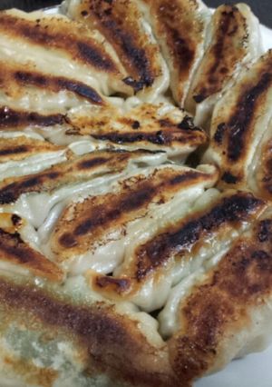 お豆腐餃子-レシピのメイン写真
