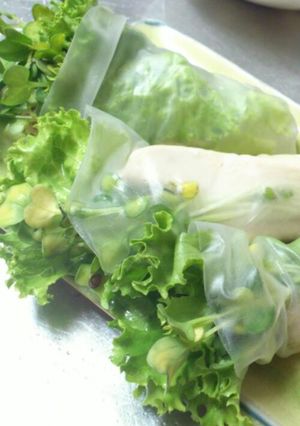 鳥むね肉入り生春巻き 簡単ﾚｼﾋﾟ-レシピのメイン写真