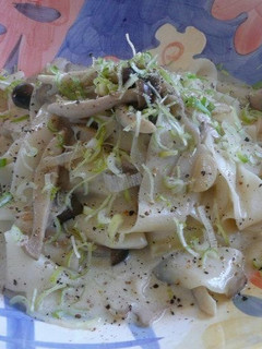 パッパルデッレと3種類のきのこパスタ-レシピのメイン写真