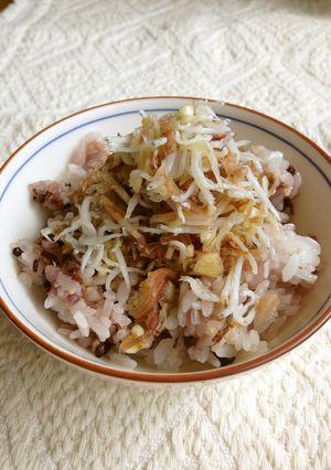 ご飯がすすむ☆しらすとみょうが和え-レシピのメイン写真