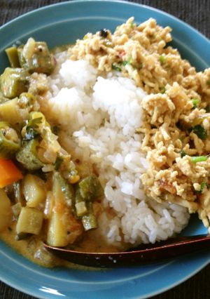 夏野菜たっぷり☆ココナッツマサラ-レシピのメイン写真
