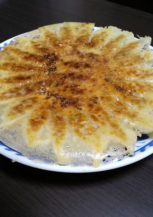 子供と作る羽根付き餃子-レシピのメイン写真