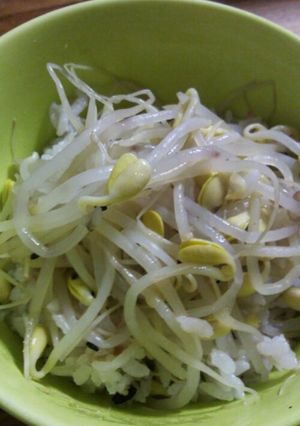 韓国　もやしごはん　簡単すぎ！-レシピのメイン写真