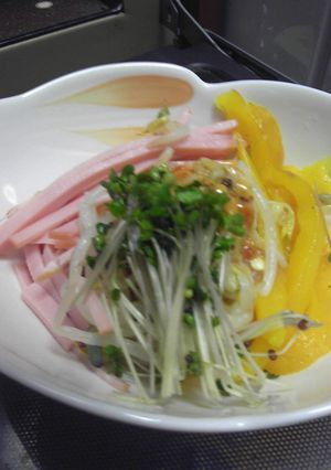 もやしとパプリカ中華サラダ-レシピのメイン写真