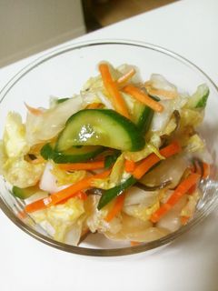 白菜の浅漬け-レシピのメイン写真