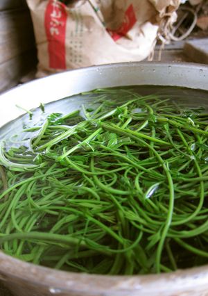 木の芽(アケビのツル)の食べ方♪-レシピのメイン写真