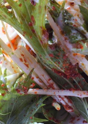 水菜と豆腐のピリ辛ガーリックサラダ-レシピのメイン写真