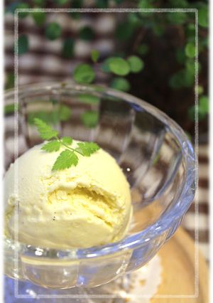 あたしんちの…濃厚！バニラアイス♪-レシピのメイン写真