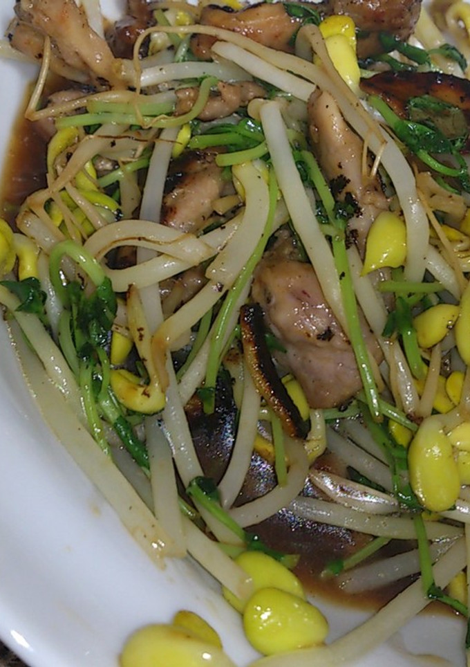 歯ごたえ抜群！大豆もやしとせせりの炒め物-レシピのメイン写真