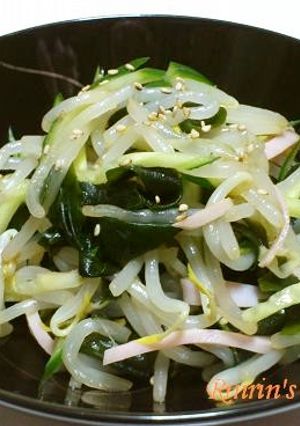 もやしの中華風サラダ-レシピのメイン写真