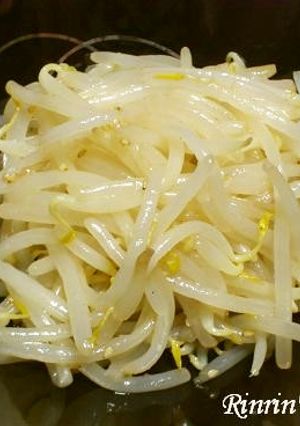 もやしのナムル-レシピのメイン写真