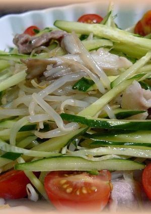 さっぱり♪お肉とお野菜のてんこもり♪-レシピのメイン写真