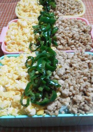 ☆お弁当に　三色丼☆-レシピのメイン写真