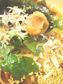 梅わかめぶっかけうどん♪さっぱり^^-レシピのメイン写真