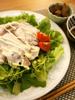 とびきり柔らかい!冷しゃぶサラダ-レシピのメイン写真