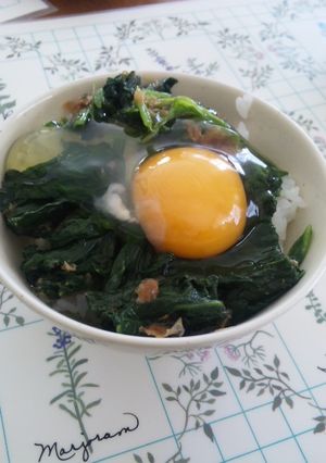 ほうれん草のおひたしの卵かけご飯-レシピのメイン写真
