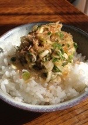 ネギご飯-レシピのメイン写真