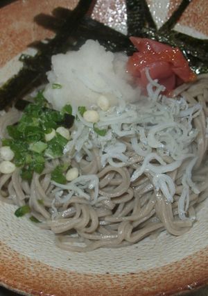梅じゃこおろしぶっかけそば-レシピのメイン写真