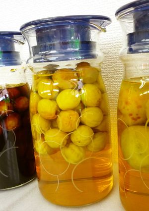 ３日でつくるフルーティー梅漬け-レシピのメイン写真
