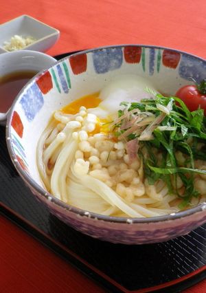 半熟卵のせ冷たいたぬきうどん-レシピのメイン写真