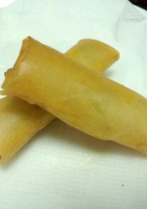 もやしの春巻き-レシピのメイン写真