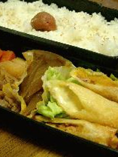 何でも春巻弁当-レシピのメイン写真