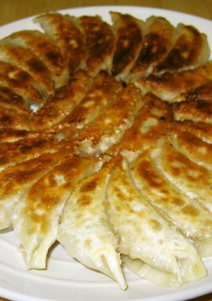 塩麹餃子-レシピのメイン写真