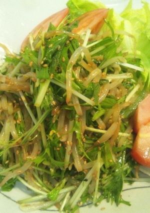 もやししゃきーん♪サラダ?-レシピのメイン写真