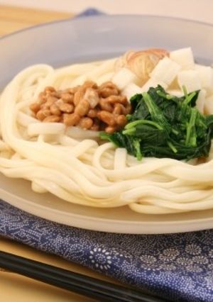 のど越し冷やしうどん-レシピのメイン写真