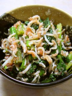 ほうれん草の明太しらす和え-レシピのメイン写真
