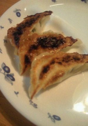 豆腐入り塩麹餃子-レシピのメイン写真