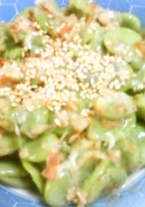 ソラ豆のおかか胡麻うま塩和え★-レシピのメイン写真