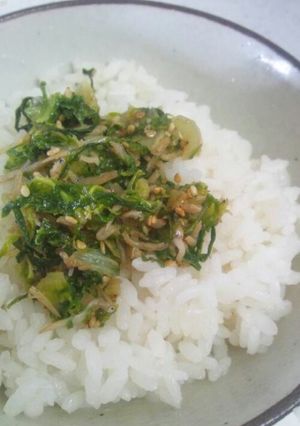 ご飯にﾋﾟｯﾀﾘ！山東菜としらす炒め-レシピのメイン写真
