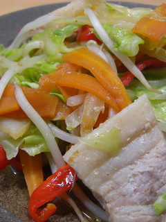 塩麹で味付けたお肉入り野菜炒め-レシピのメイン写真